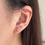 Load image into Gallery viewer, Tiny Paw Print Stud Earrings
